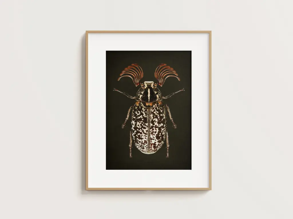 Free_Poster_Frame_Mockup_20.webp