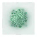 stilll-life-chou.webp